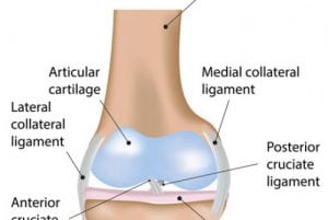 Knee Repair Surgery – Arthroscopic ACL Meniscal Repair