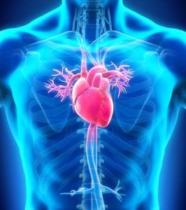 Minimally Invasive Heart Valve Surgery