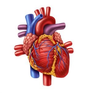 Beating Heart Ventricular Septal Defect Closure