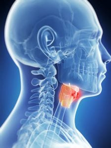 High Dose Rate Brachytherapy for Larynx Cancer